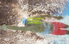 pg模拟器_异军突起！NEST2017南昌大众赛外卡赛新王登基