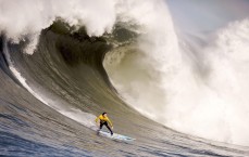 pg模拟器-交易风暴中的出勤对比，戴维斯14场低迷，东契奇41场稳健引领新格局