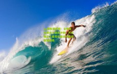 pg模拟器官网：全明星投票进入最后冲刺，万众瞩目之最受欢迎选手即将荣耀揭晓