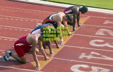 pg模拟器：曼城轮换风暴引发崩盘 勒沃库森客场2比0奏凯 欧冠卫冕之路突现阴霾