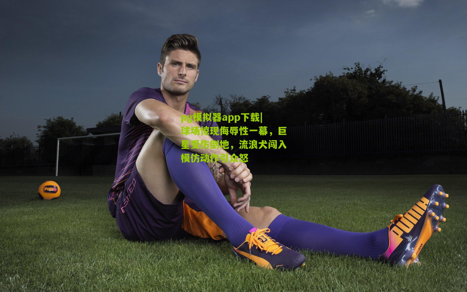 球场惊现侮辱性一幕，巨星受伤倒地，流浪犬闯入模仿动作引众怒